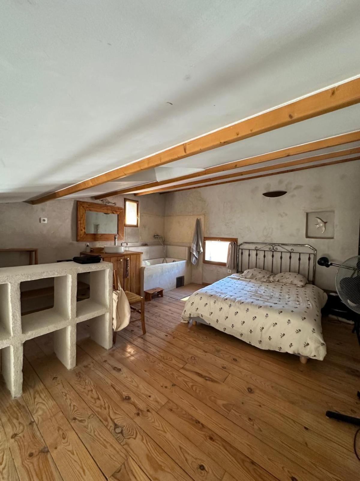 Les Toits Nyonsais Apartment Ngoại thất bức ảnh